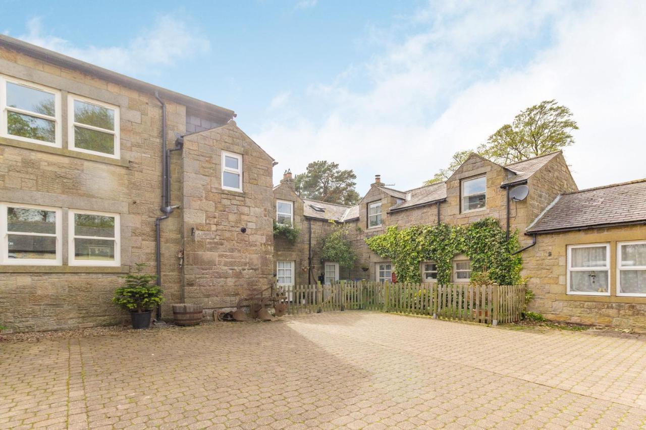 Briar * Alnwick