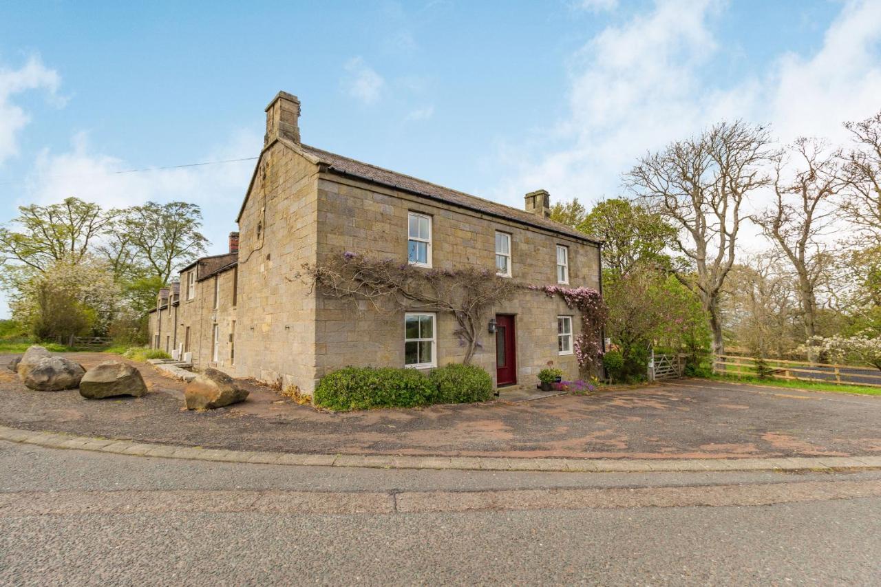 Briar Alnwick